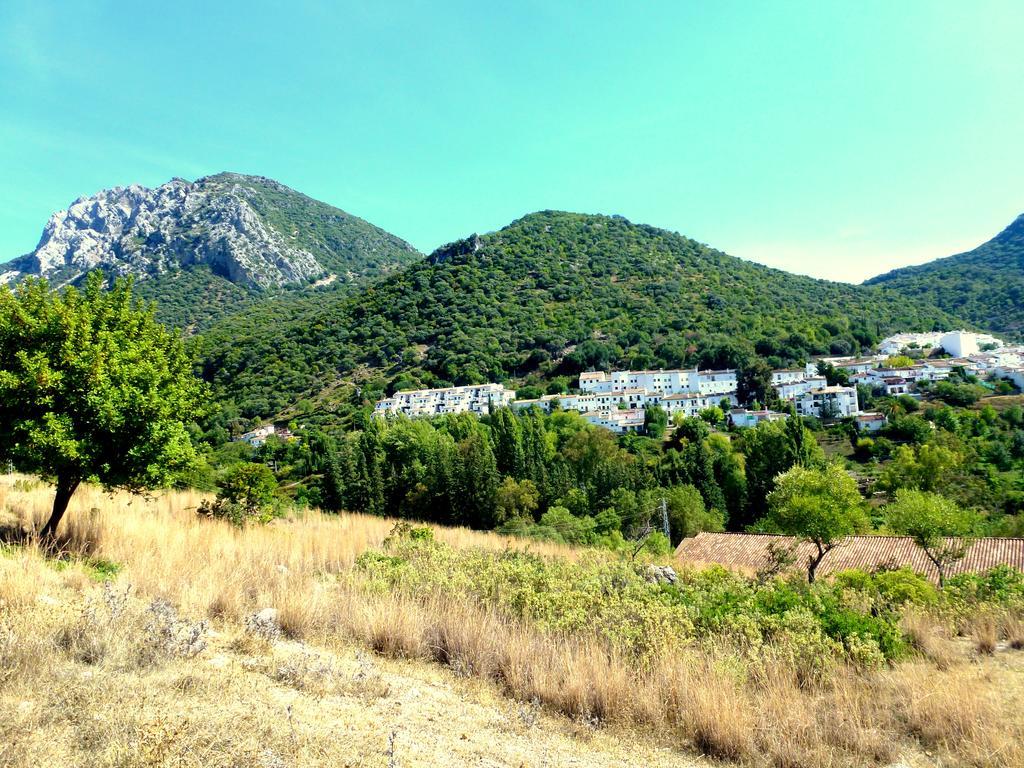 Casa Rural El Aljibe بيناماهوما المظهر الخارجي الصورة