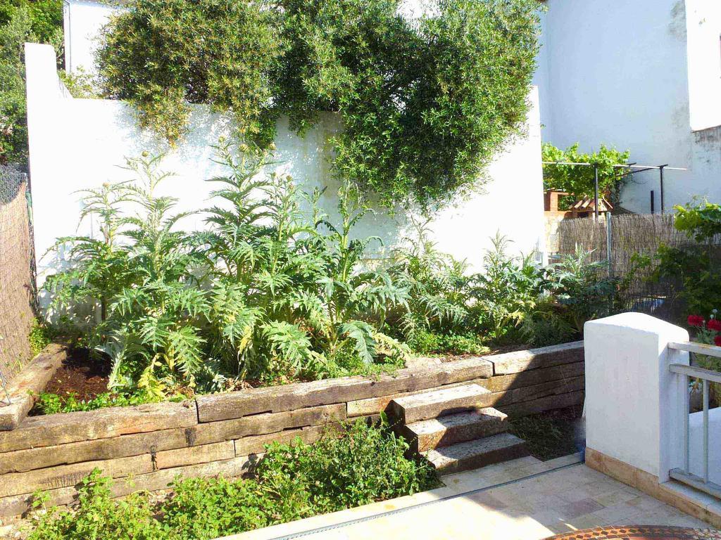 Casa Rural El Aljibe بيناماهوما المظهر الخارجي الصورة